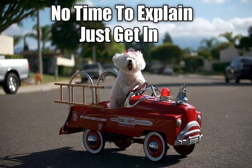 Edward Kiefner's album, Timeline Photos