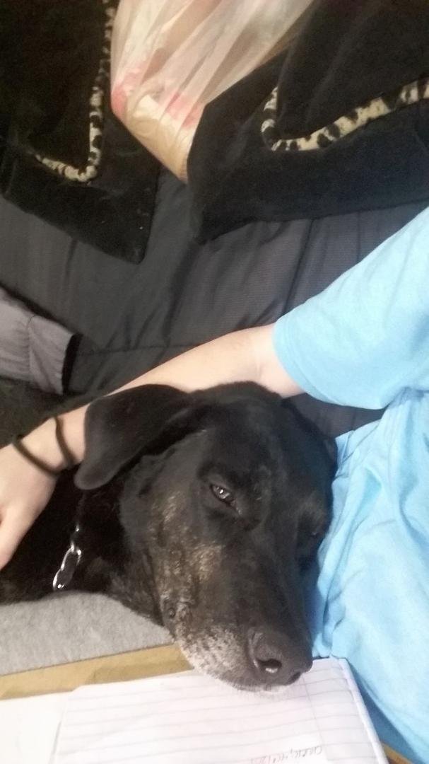 He's home! Thank you to everyone who helped