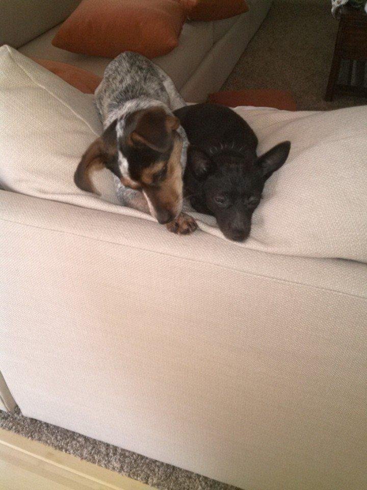 Chloe and Maggie