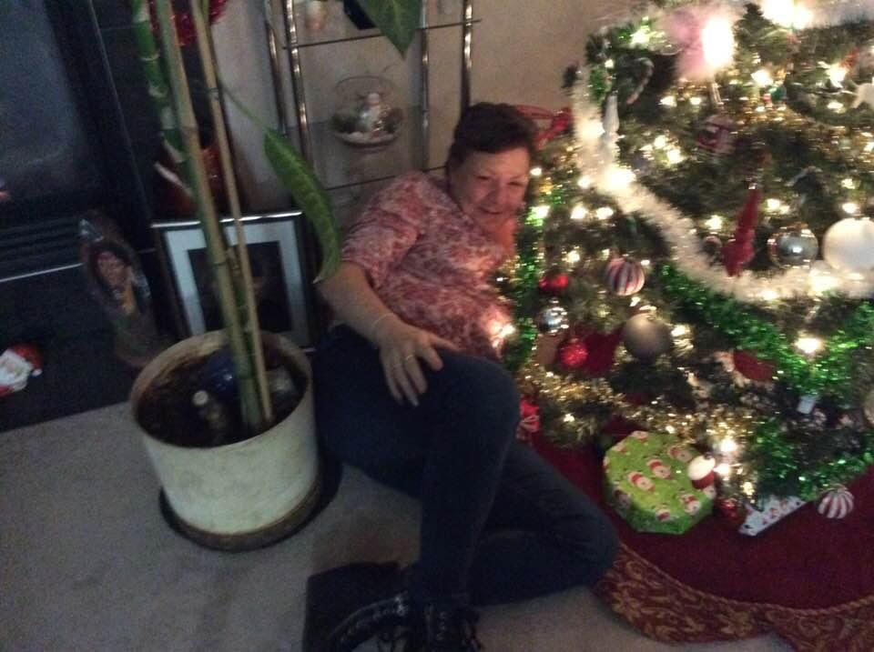 Alan said “for free to good home” he’s a bit of a Christmas Scrooge!