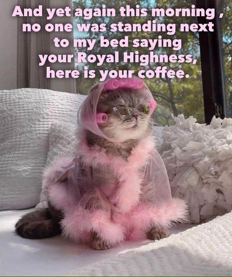 Lawrence Chapman's album, Timeline photos