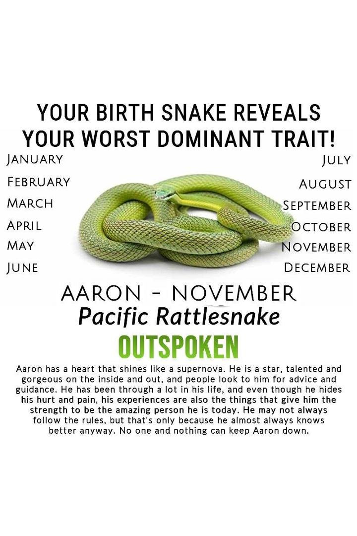 It's not the year of the snake, but oh well!