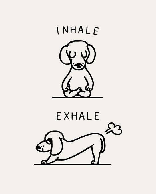 Mark Piper's album, Timeline photos