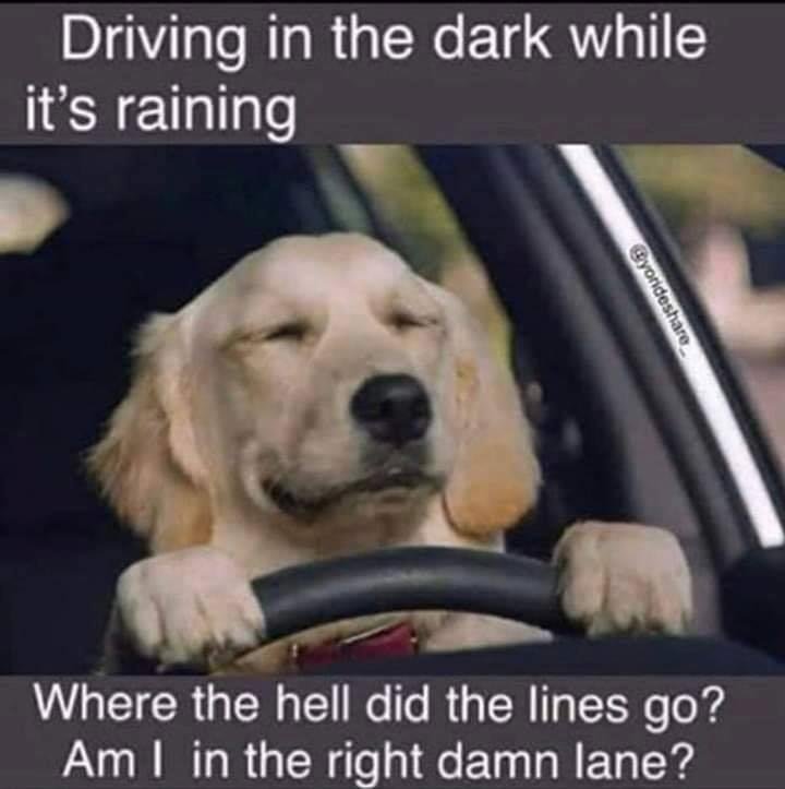 Me 🙋♀️