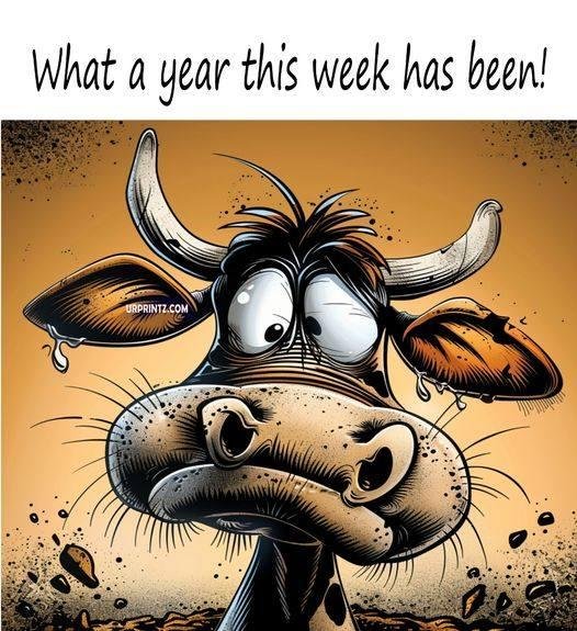 Kathy Collins' album, Timeline photos