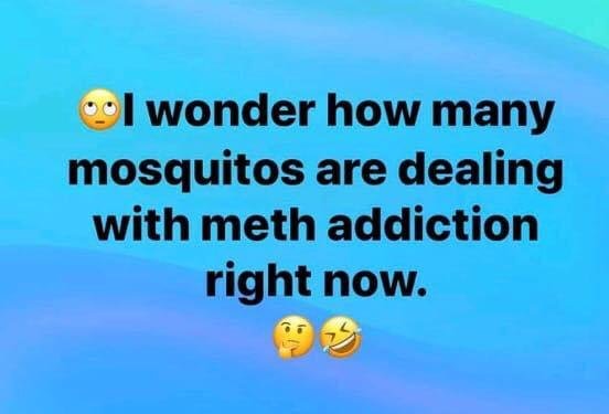 Poor mosquito 🦟