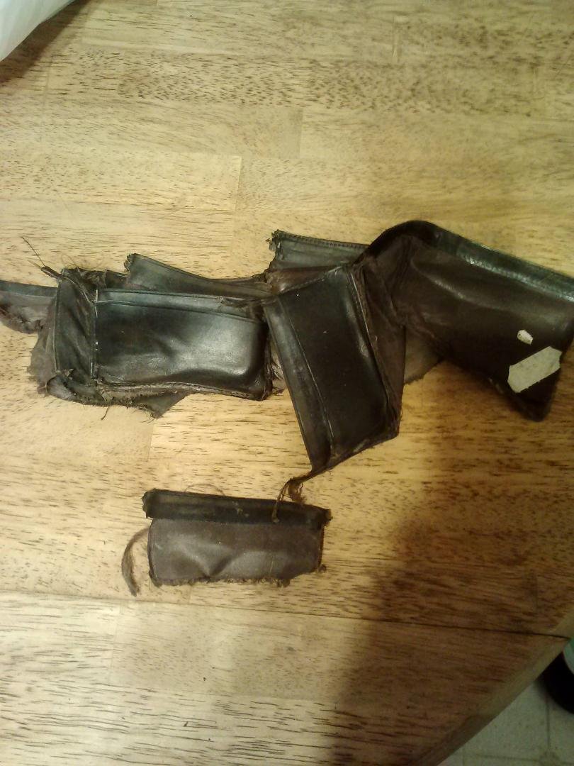When i told my wallet we have to buy a refrigerator it blew up!