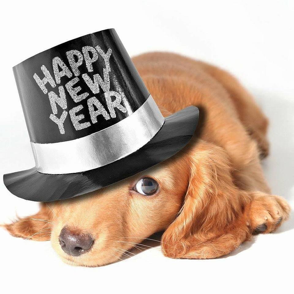 Rich Prokop....Happy New Year!