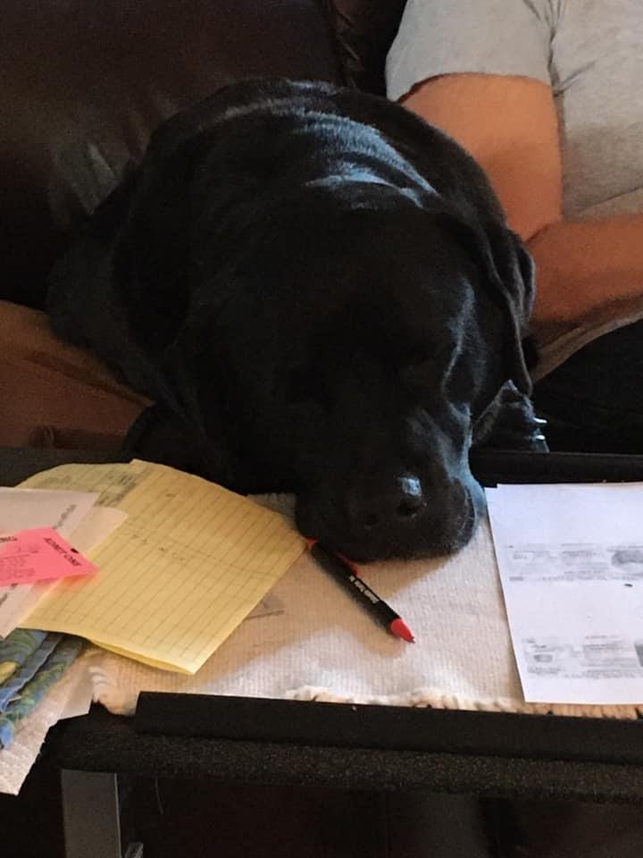 Zelda needs help with her tax return