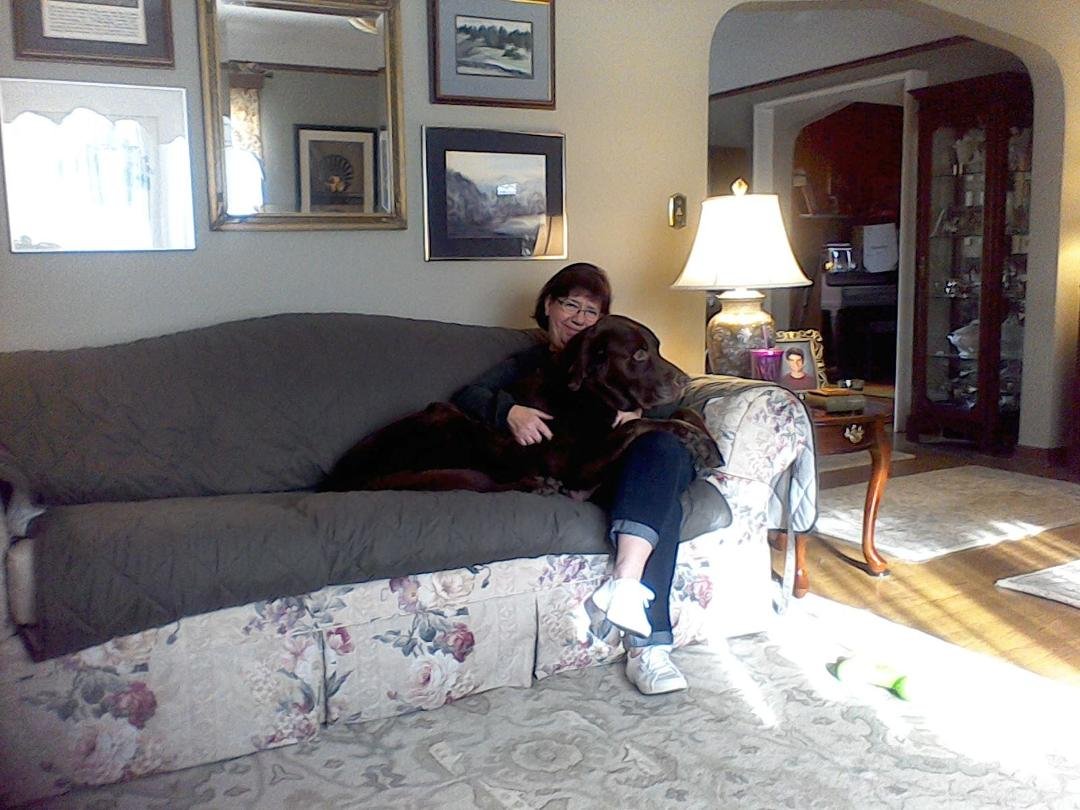 Who says our Norman is not a lap dog?