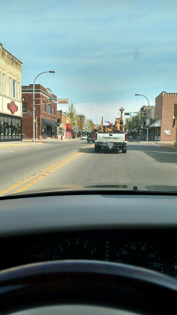 I followed a giraffe to Shawano today.