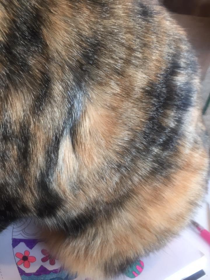 No I'm not going to let you color right now I'm hungry