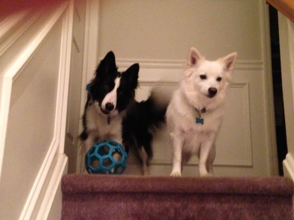 Let's play!!