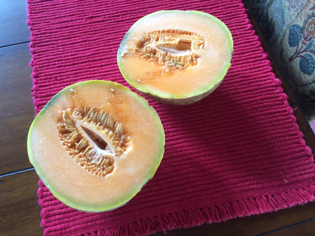 First Melon of the year from George's Garden!