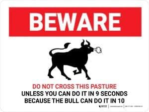 Bulls, even the ones with the calmest demeanor, can and will eventually be aggressive in some form. Bulls, as a group, of any breed, are not to be trusted. Ever. Some suffer the idea that halter training or hand raising a b