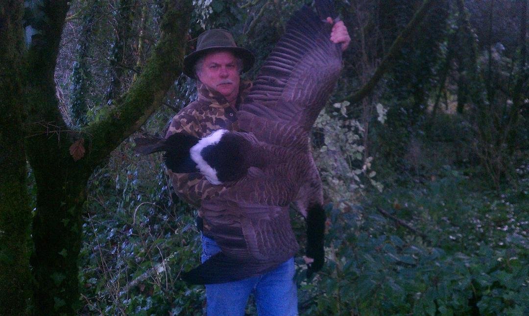 Cobalt got one.