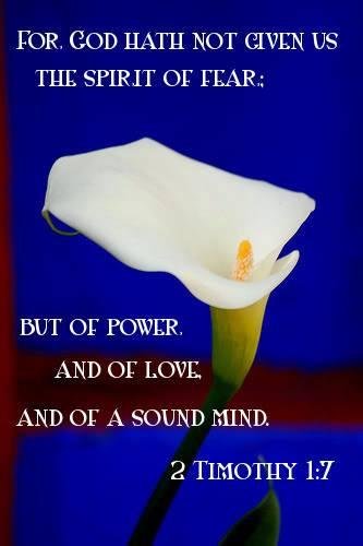 Sandra Jackson's album, Timeline Photos