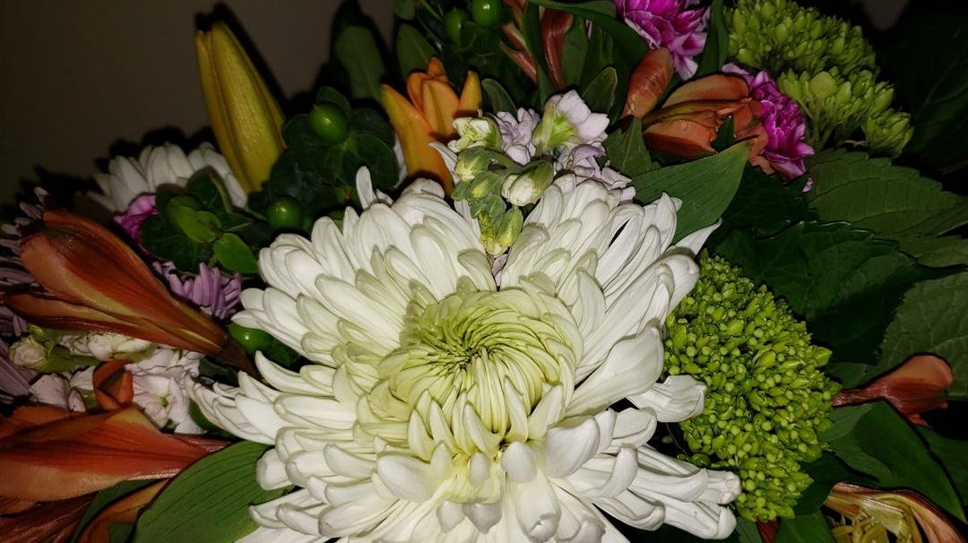 Thanks Babe! Love you! Ken Etter
❤❤