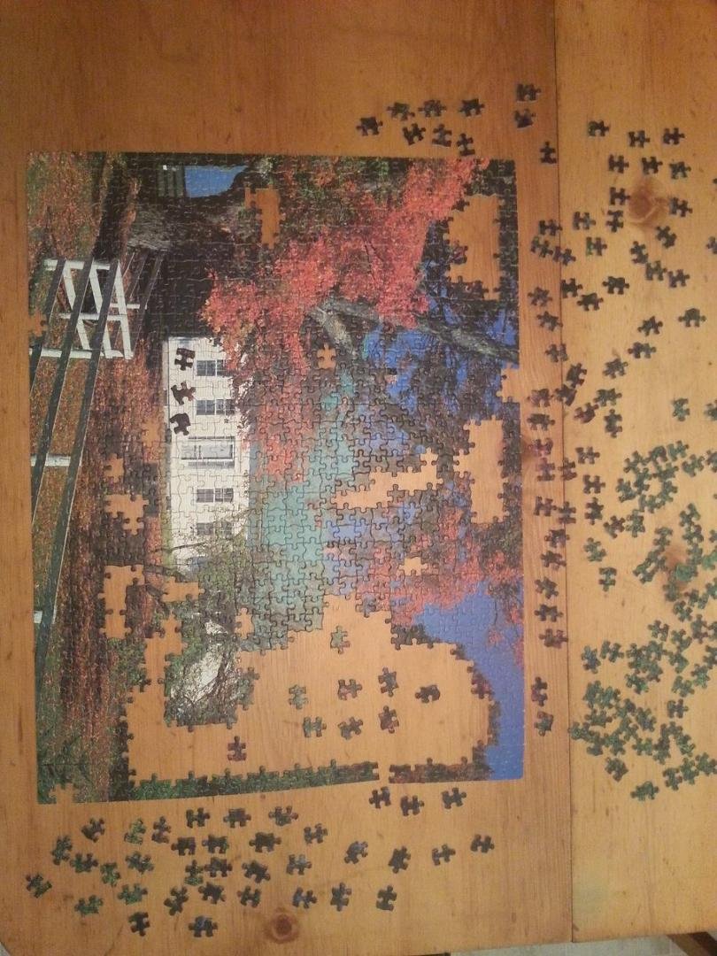 Down to the last 170 pieces.... can I finish it by 3pm tomorrow? Stay tuned...
