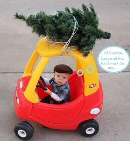 Dawn Kendziorski's album, Timeline Photos