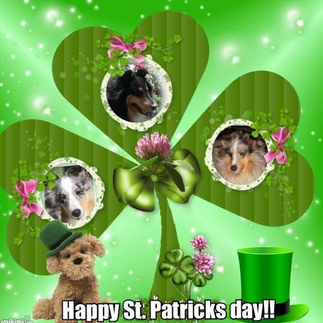 Carol Nielsen's album, Timeline Photos