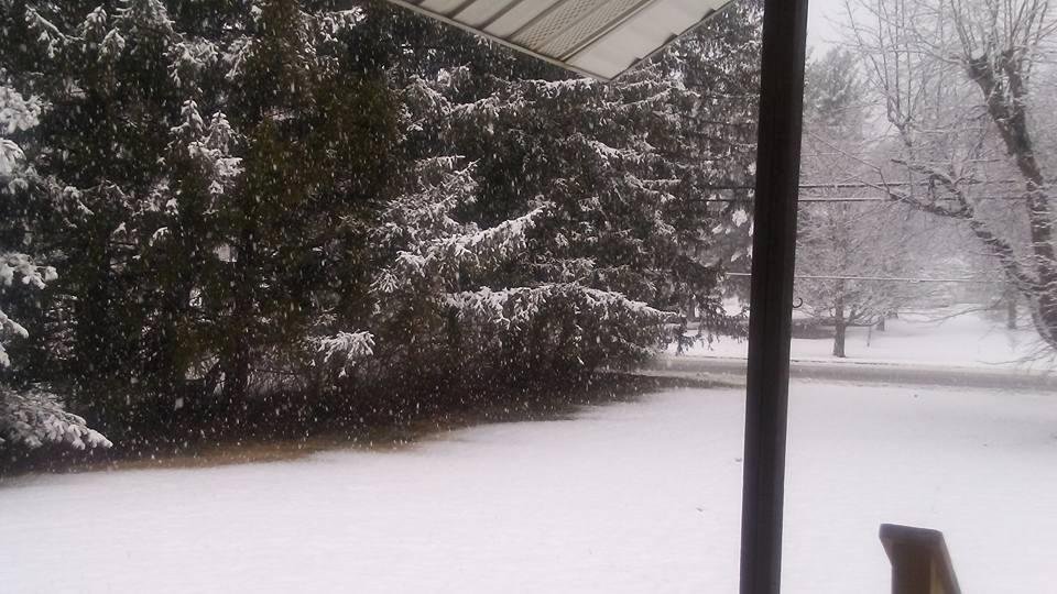 Tamara Matteson's album, Timeline Photos