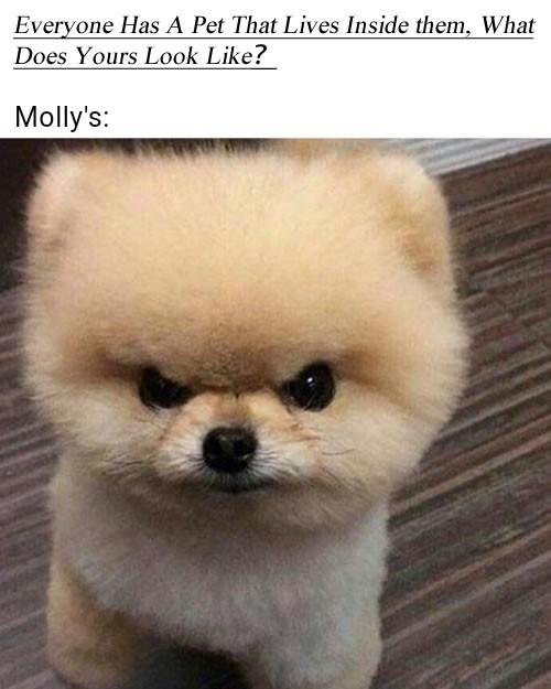 Hahahaha!!!!