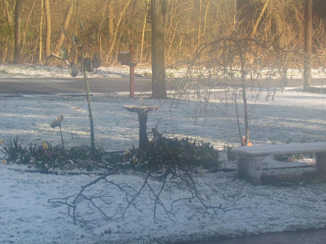 The front garden has a branch down on it as a result of yesterday's 20+ mph winds. If this picture looks fuzzy particularly when compared to the other two, it's because I didn't open our front storm door to take the pictur