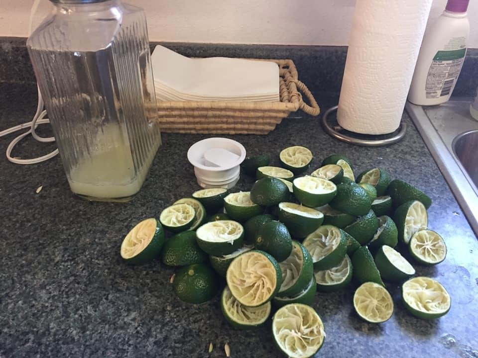 I picked some limes today, though I make some limeade this is how much juice I got from the limes