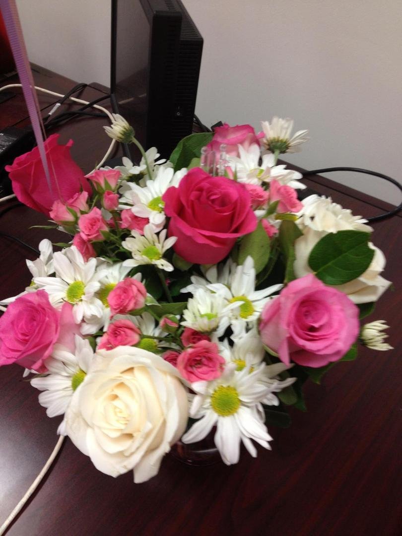 So very special…thank you for making me smile today Steve Honer