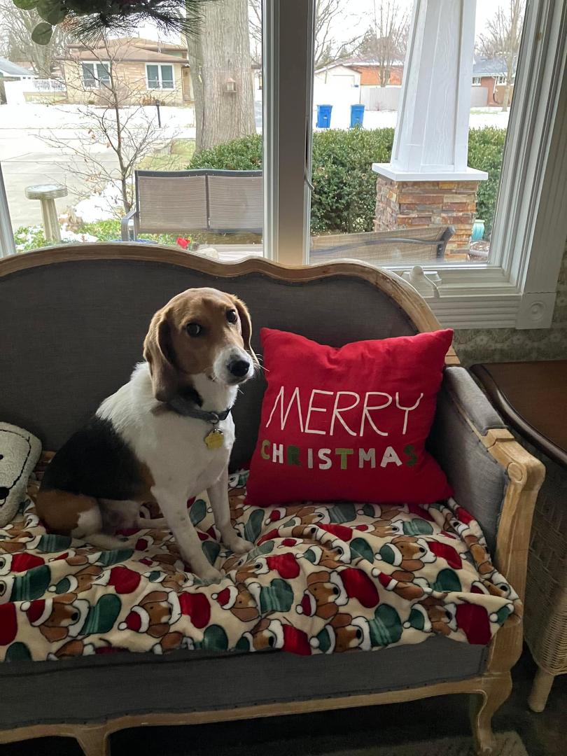 Merry Christmas and God’s Blessings to all of my friends and family!