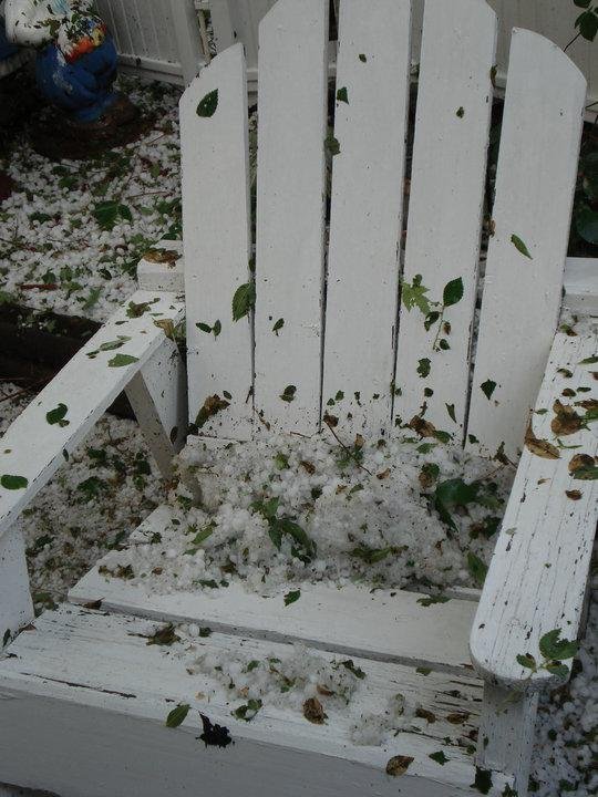 Abbey went out in the hail to retrieve the new cushions. Goofy girl :)