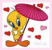 Debbie Lawrence's album, My Special Pictures