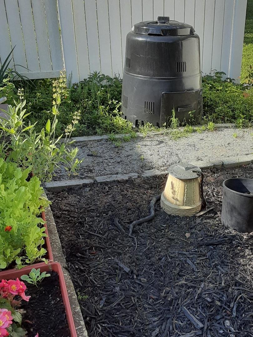Maybe he was late for work and was just checking the thyme! Fooled him, we haven't set the sundial back to daylight savings time yet.
