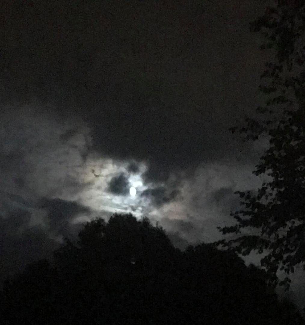20 minutes ago