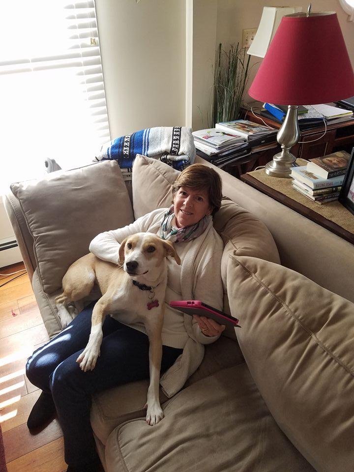 Abby thinks she is a lap dog and that everyone wants her on their lap :-)