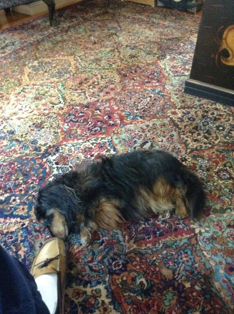 Arland Stackpole's album, iOS Photos