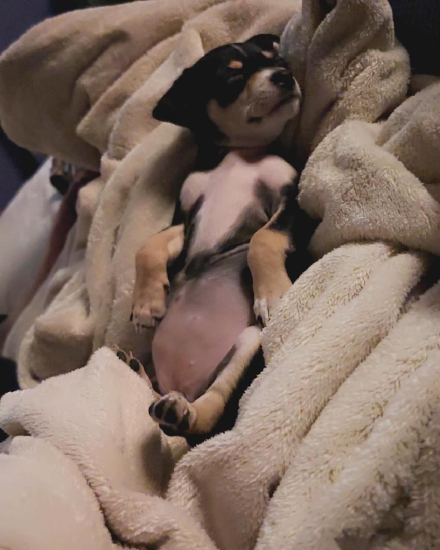 The Baby Neo 🥰