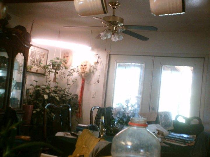 Lawrence Baker's album, February 17, 2011
