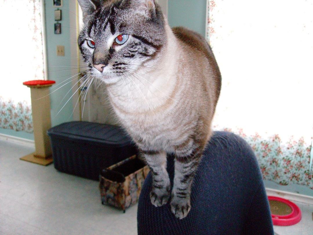 Tabitha in 2011