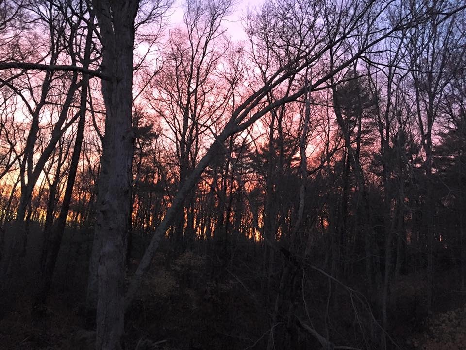 Nancy Luttmann's album, Mobile Uploads