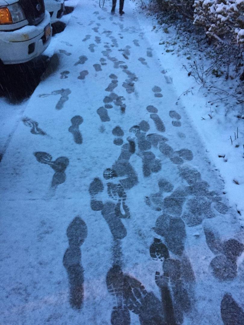 Footprints in the snow!