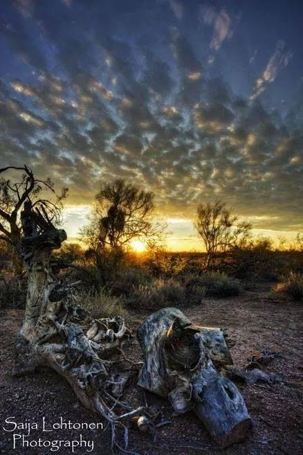 Arid Sunrise
