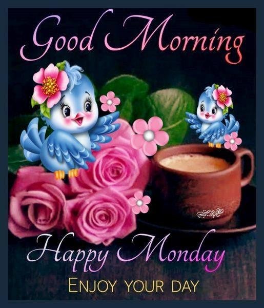 HAPPY MONDAY EVERYONE HOPEFULLY A GOOD WEEK WILL FOLLOW LOVE EACH AND EVERYONE OF YOU
