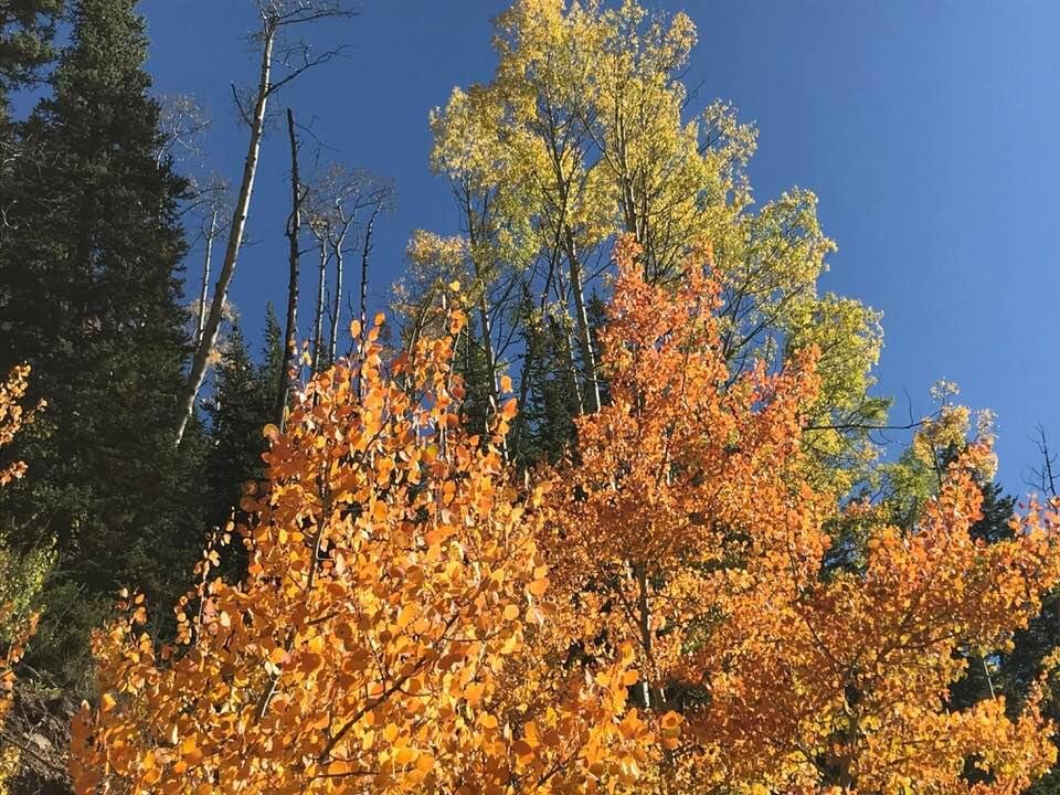 David Gann's album, Timeline Photos