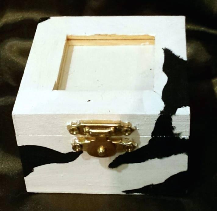 Zebra picture box /2014