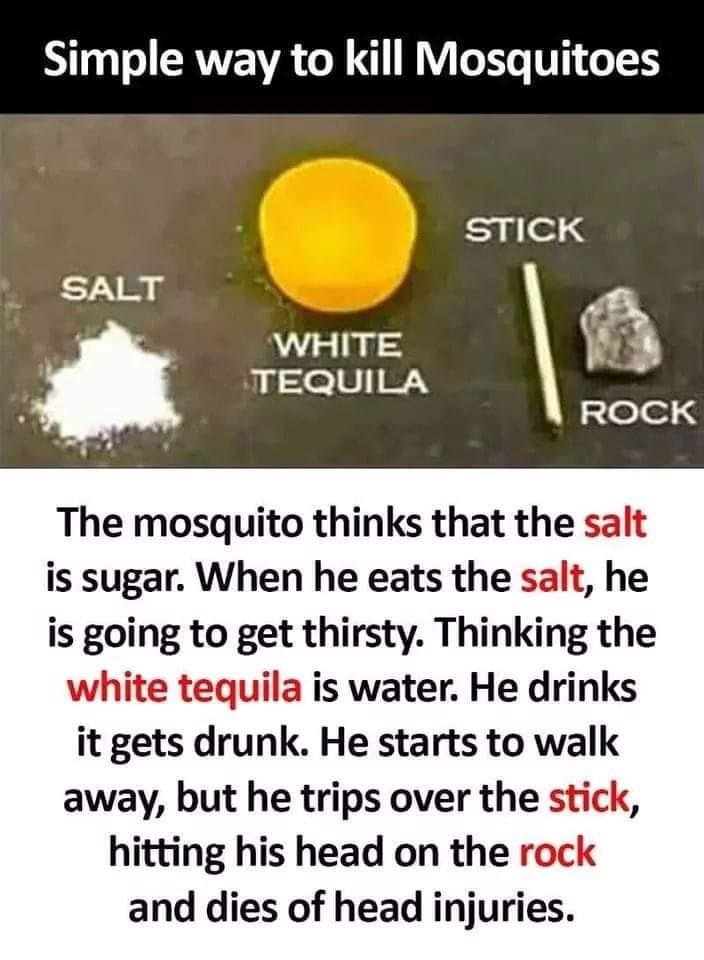 Might be handy while camping