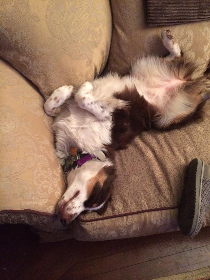 Nap time