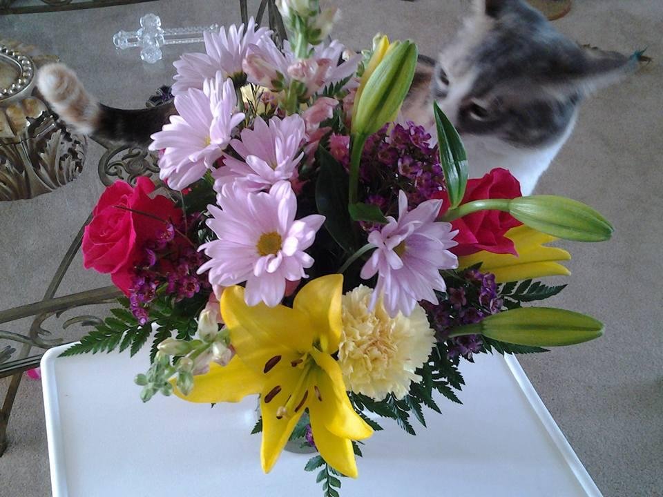 Got this beautiful Birthday Bouquet from my wonderful son Tom!  Thank you precious son of mine!