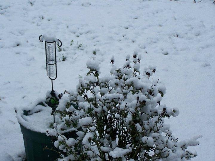 Rain guage, snow was wet